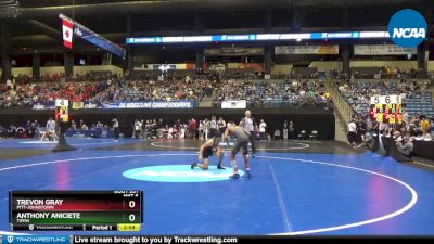 125 lbs Cons. Round 2 - Anthony Aniciete, Tiffin vs Trevon Gray, Pitt-Johnstown