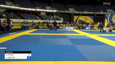 ANDREW REYES vs JACOB NORTON 2022 World IBJJF Jiu-Jitsu No-Gi Championship