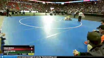 D2-126 lbs 5th Place Match - Cole Bozile, Oconto Falls vs Austin Defoe, Ashland