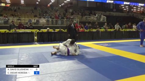AUSTIN DAVID GLUSHENKO vs CARLOS OSCAR HEREDIA 2024 Pan Jiu Jitsu IBJJF Championship