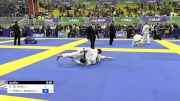 RODRIGO DE ROSSI vs FRANCISCO FÁBIO C. GONÇALVES 2024 Brasileiro Jiu-Jitsu IBJJF