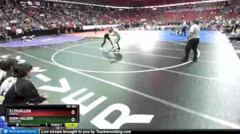 D3-182 lbs Champ. Round 1 - Dion Helser, Shiocton vs TJ Mueller, Crivitz