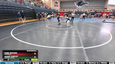 126 lbs Quarterfinal - Hagen Shipley, Dripping Springs vs Gabe Romans, Allen Blue