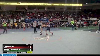 D 1 113 lbs 3rd Place Match - Vincent Vidacovich, Holy Cross vs Logan Olsen, Airline