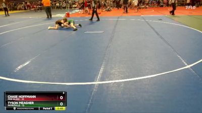 93 lbs Quarterfinals (8 Team) - Chase Hoffmann, Pine Island vs Tyson Meagher, Paynesville