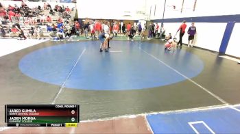 165 lbs Cons. Round 1 - Jaden Morga, Elmhurst College vs Jared Gumila, North Central College