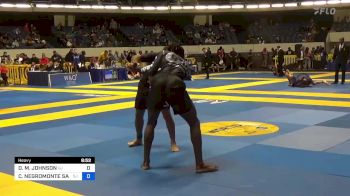 DEVHONTE M. JOHNSON vs CHARLES NEGROMONTE SANTOS 2022 World IBJJF Jiu-Jitsu No-Gi Championship