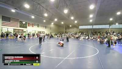 113 lbs Cons. Round 4 - Hamayon Hussaini, Salt Lake City vs Bridger Olsen, Syracuse