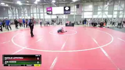 85 lbs Quarterfinal - Natalie Lippstreu, GA vs Zoe Roddis, OR