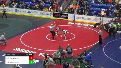 110 lbs Semifinal - Teagan Caciolo, Emmaus vs Greyson Music, Annville-Cleona