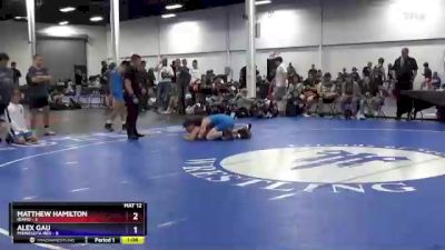 110 lbs Semis & 3rd Wb (16 Team) - Matthew Hamilton, Idaho vs Alex Gau, Minnesota Red