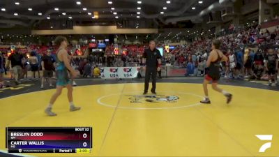 120 lbs Champ. Round 1 - Breslyn Dodd, NM vs Carter Wallis, MO