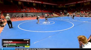 195 lbs D1 - Semi-finals (fri 7:30pm.) - Mason Seidl, Marshfield vs Ayden Bruckner, Bay Port