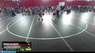 92 lbs Cons. Round 2 - Castenzio Rodriguez, Racine Area Wrestling Inc. vs Brooks Halverson, Pec-Argyle Youth Wrestling