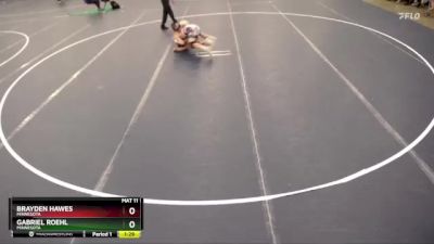 120 lbs Quarterfinal - Gabriel Roehl, Minnesota vs Brayden Hawes, Minnesota