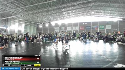 71 lbs Round 2 (4 Team) - Boston Brindley, Utah Gold vs Austyn Adams, Salem Elite Wrestling