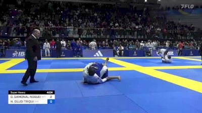 DIEGO GAMONAL NOGUEIRA vs NAWFEL OUJDI TRIQUI 2023 European Jiu-Jitsu IBJJF Championship