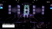 The Stingray Allstars - Tampa - Paradise [2023 Level 1.1 - Junior--Div 1 Day 1] 2023 The All Out Nationals