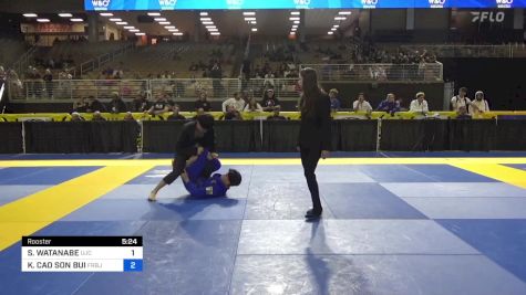 SHOKI WATANABE vs KELVIN CAO SON BUI 2024 Pan Jiu Jitsu IBJJF Championship