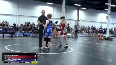 102 lbs Placement Matches (8 Team) - Cole Lemovitz, Connecticut vs Tyler McChesney, South Carolina