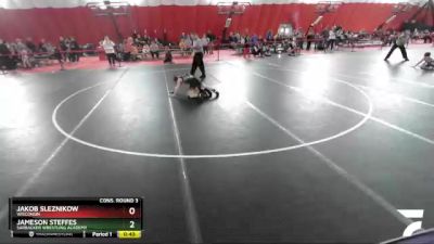 86 lbs Cons. Round 3 - Jameson Steffes, Sarbacker Wrestling Academy vs Jakob Sleznikow, Wisconsin