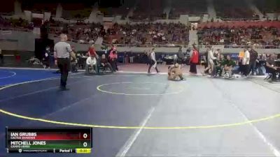 D2-132 lbs 3rd Place Match - Ian Grubbs, Cactus Shadows vs Mitchell Jones, Campo Verde