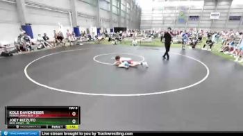 94 lbs Quarters & 1st Wb (16 Team) - Kole Davidheiser, Pennsylvania Blue vs Joey Rizzuto, New Jersey