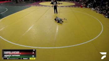 55 lbs Semis (4 Team) - Merrick Anthony, LCWM vs Gabriel Haefner, Dassel-Cokato-Litchfield