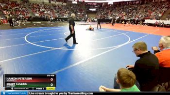 D2-106 lbs Semifinal - Brady Collins, East Troy vs Haakon Peterson, Dodgeville