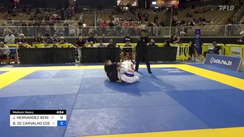 JAYLENE HERNANDEZ BENITEZ vs BRENDA DE CARVALHO COELHO GONÇAL 2024 Pan Jiu Jitsu IBJJF Championship