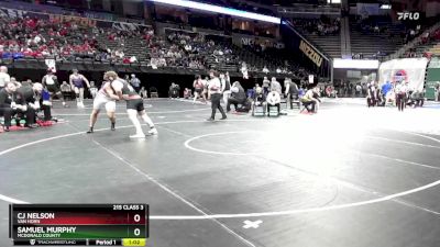 215 Class 3 lbs Semifinal - CJ Nelson, Van Horn vs Samuel Murphy, McDonald County