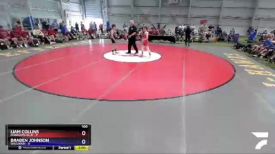 100 lbs Round 2 - Liam Collins, Minnesota Blue vs Braden Johnson, Wisconsin