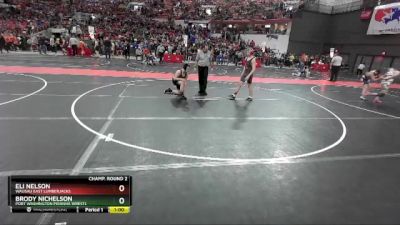140 lbs Champ. Round 2 - Eli Nelson, Wausau East Lumberjacks vs Brody Nichelson, Port Washington Piranha Wrestl