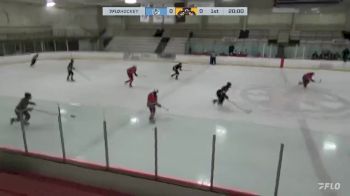 Replay: Home - 2024 Islanders HC vs Jr. Bruins | Feb 1 @ 2 PM