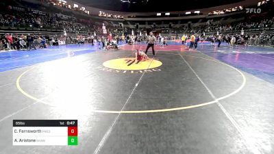 65 lbs Quarterfinal - Cash Farnsworth, Predators vs Alexander Aristone, Shawnee