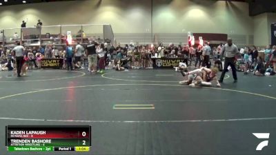 138 lbs Round 2 (6 Team) - Trenden Bashore, Attrition Wrestling vs Kaden Lapaugh, Mi Mafia Red