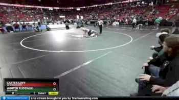 D1-152 lbs Champ. Round 1 - Carter Lovy, West Bend West vs Hunter Rudzinski, Waterford