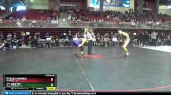 195 lbs Round 6 (8 Team) - Rylee Hammer, Norfolk vs Ty Sidzyik, Bellevue East