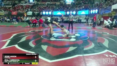 A - 132 lbs Champ. Round 1 - Jesse Anson, Hamilton vs Ryal Carroccia, Park / Sweet Grass Co