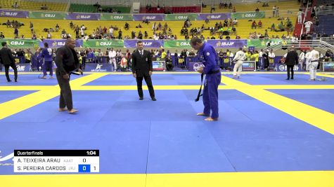 ALEXANDRE TEIXEIRA ARAUJO vs SANDRO PEREIRA CARDOSO 2024 Brasileiro Jiu-Jitsu IBJJF