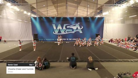 Cheaha Cheer and Tumble - Smoke [2022 L4 Senior Coed Day 1] 2022 WSA Birmingham