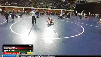 95 lbs Cons. Round 3 - Parker Johns, Iowa vs Cale Johnson, Big Game Wrestling Club