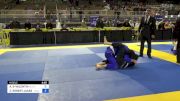 ANDRES ENRIQUE SANTIAGO-VALENTIN vs ZACHARY ROBERT JACKSON 2024 Pan Jiu Jitsu IBJJF Championship