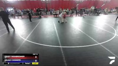 113 lbs Quarterfinal - Grady Weinbrenner, MN vs Bruno Cassioppi, IL