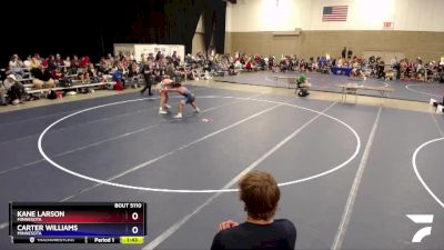 160 lbs Quarterfinal - Kane Larson, Minnesota vs Carter Williams, Minnesota