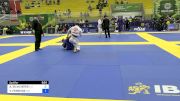 ADILSON SILVA NERIS vs VALTER FERREIRA 2024 Brasileiro Jiu-Jitsu IBJJF