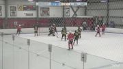 Replay: Home - 2024 Islanders HC vs Cubs | Feb 9 @ 7 AM