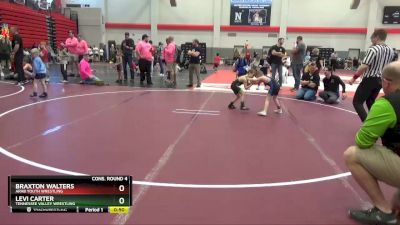 45 lbs Cons. Round 4 - Levi Carter, Tennessee Valley Wrestling vs Braxton Walters, Arab Youth Wrestling