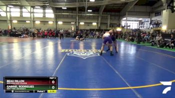 197 lbs Champ. Round 1 - Beau Dillon, New England College vs Gabriel Rodrigues, New York University