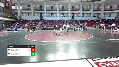 141 lbs Round Of 16 - Mark Samuel, Roanoke College vs Mason Amadio, Tiffin